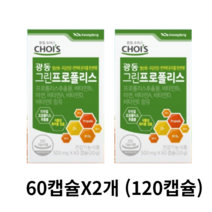 광동 그린프로폴리스, 1개, 120정, 60정
