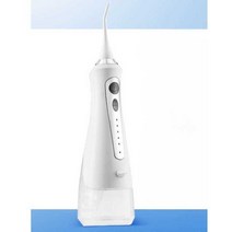 셀프 치실 치석 제거 휴대용 충전식 구강 세정 스케일링, C10S모델(300ml+5스톱모드)화이트