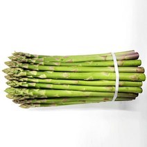 생 아스파라거스 국내산 250g