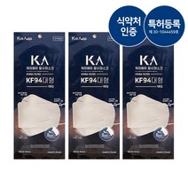 [덴탈조이스] 안경 김서림 방지 시원한 성인용 마스크 10매, KF94덴탈마스크10매