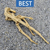 유목 대형 56.6cm 국산
