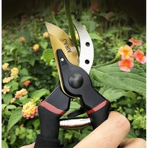 그립감 단단한칼날 안전장치 전지가위 열매따기 학교 정원 꽃꽃이 과수원 분재원 미끄럼방지 전선, 실버