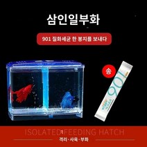 안시롱핀 알비노풀레드 엔젤 피쉬 어항 수족관 이중 다용도 소형 부화 상자 격리, 3 in 1 부화/베타 (질화 박테리아)