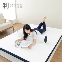 아리아 천연 라텍스 바디필로우+겉커버, 단품