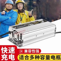 48v20AH60v72v 건전지 배달 충전기, T02-36V 펄스 리페어 쇼트롯드 보호