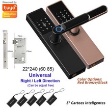 Diosso생체 전자 디지털 블랙 도어락 RH05 스마트 Tuya 앱 원격 잠금 해제 열쇠 없는 지문 인식, 6085+ROSE GOLD