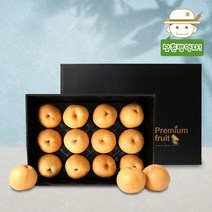 삼촌명가의 정성가득 품격있는 명품 배 선물세트 7.5kg내외, 단품