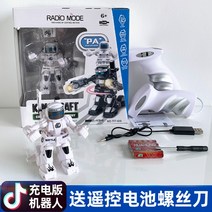 권투 휴머노이드 로봇 RC배틀 AI 행동복사 컨트롤러 RC 변신로봇, B.하얀색