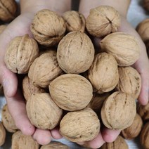 미네픽 [미네픽] 안동머슴의 싱싱한 생호두 국산 호두 2kg, 단품없음