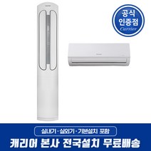 캐리어 인버터 절전형 2in1 스탠드에어컨 17+6형 전국기본설치무료 JSCC171XAWWMDG 거실 매장 업소