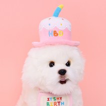 강아지 생일모자 케이크 고양이 생일파티, 옵션1