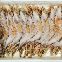 군산 직접잡은 자연산 대하 새우 2kg (24~26미), 1개