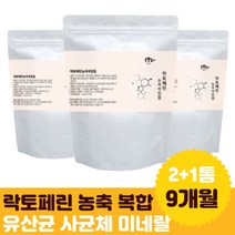 초유 단백질 저분자 락토페린 유산균 대용량 우유분말 람노서스 probiotic 종합유산균 말티톨 아이 홈쇼핑 20대 가족 부부 입학 신랑 프로틴 60대 어린이 40대 여성 30대 남성