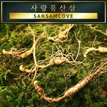 사랑품산삼 산양산삼 산양삼 장뇌삼 8-20년근 자연산 모양 산삼사랑, 09번_산양삼 13년근 10뿌리