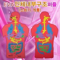[AJZ_0643269] 인체내부구조 퍼즐 어린이퍼즐 교육용퍼즐 신체구조퍼즐 인체퍼즐 초등퍼즐