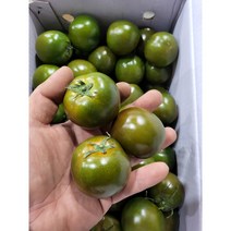 귀족이라 불리는 건강한 간식 흑토마토! 2.5Kg 5Kg, 흑토마토 2.5Kg, 1개