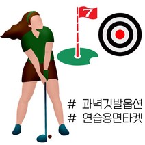 두바이_미니샵_많은 스윙에도 오랫동안 사용이 가능한 연습용 면타겟 골프타켓 용타겟 용타깃 용품 타겟 배우기++mingpin*, $베스트선택**붐 면타겟 과녁