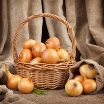 2023년 양파 경남 노지 햇양파 특품 2kg 3kg 5kg 10kg, 2kg 특