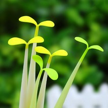 귀여운새싹 핵인싸 신상템 채소볼펜 3종모음 실리콘소재 중성펜, 새싹볼펜