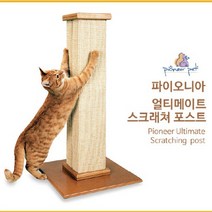 파이오니아 얼티메이트 스크래쳐, 상세페이지 참조