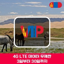 VIP 몽골 4G LTE 포켓 와이파이 데이터 무제한 국내공항 수령, 4G LTE 데이터 무제한 1일/대구