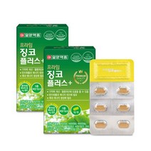 은행잎추출물 플라보놀배당체함유 일양징코30정x2박스