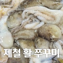[제철별미] 산지직송 서해안 국내산 100% 활쭈꾸미 1kg, 4kg
