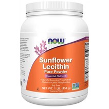 나우푸드 해바라기 레시틴 퓨어 파우더 454g(1lb), 1개, 기본