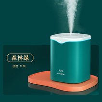 더블 스프레이 usb 가습기 사무실 내 데스크톱 4.2L 대용량 가습 분무기 공장 직공, 물방울 가습기 단분출구(녹색)