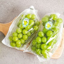 [샤인머스켓 포도] 2kg 품질포증 가정 선물 용 샤인머스캣, 샤인머스켓 2kg( 3수 ) 실속형