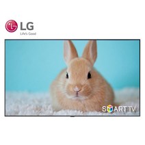 LG 65인치 나노셀 8K 스마트 UHD TV 65NANO99 AirPlay, 2-2. 지방권역 벽걸이 배송 설치
