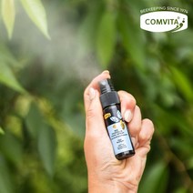 콤비타 뉴질랜드 프로폴리스 스프레이 20ML 3개 선물세트