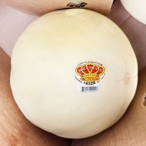 미국 메론 허니듀, 1개, 2kg