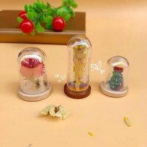 15X 미니 레인보우 현대 공예 유리 돔 커버 드라이 플라워 꽃병 나무 베이스 풍경 인형 모델 디스플레이 작품, 10 20x50mm NO1 Cap, 01 15pcs