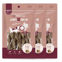 네츄럴랩 소화가 잘되는 껌 강아지 간식 100g, 3개, 소고기