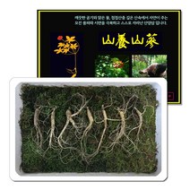 삼바이 산양산삼 7년근 선물세트 산삼 산양삼 장뇌삼 인삼 면역력 기력보강 설날 추석 설선물 설명절 추석선물 추석명절 명절선물, 7개