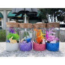 마리모키우기 국산 DIY 유리어항, 바이올렛, 토끼, 초록