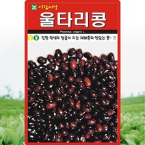 울타리콩 넝쿨성 씨앗 울타리콩 씨 재래종 종자 30g