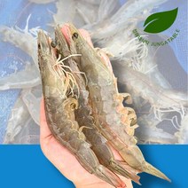 정아네식탁 가을제철 신안 흰다리 활새우 1kg 28-35미, 단품