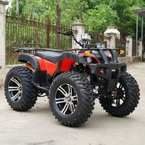 ATV 4륜 바이크 오토바이 산악 오프로드 농업용사발이, 그린 125CC 8인치 휠