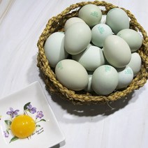 해뜨락농원 청계 유정란 40구, 단품