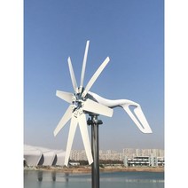 1000W 수평 풍력 발전기 12V 24V 48V 대체 에너지 MPPT 컨트롤러와 무료 풍차, CHINA, MPPT Hybrid Control + 1000W 8