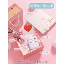 휴대용 프린터 라벨 잉크젯 프린터 라벨 스티커 도장 인쇄 마킹 네임 라벨 스티커, 10. 그린+프린터종이11롤+스티커용지1롤+선물상자
