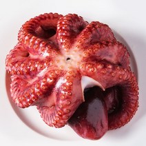 필리핀산 냉동 자숙 문어 1마리 500g이상, 700~800g