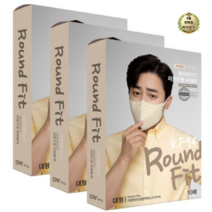 라이브잇 이로와프리즘방역마스크(KF94)(대형)(연한황색), 연한황색, 30개, 10개입