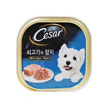 시저 반려견 주식캔, 소+참치, 100g, 3개