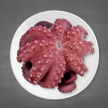 제수용 자숙문어 1kg 1.5kg 2kg 한마리 기준