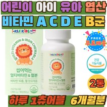 어린이 아이 유아 비타민 10종 A C D E B군 엽산 철 키즈 초등학생 츄어블 맛있는 멀티 비타민 영양제 조카 손녀 손자 선물 종합비타민 건기식 꾸미 젤리 성장기 아기 구미