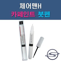 쌍용 체어맨H ABF ACD LAE SAF WAA 자동차 차량용 도색 카페인트 붓펜 타입, 1-5. WAA 그랜드화이트(상아색)