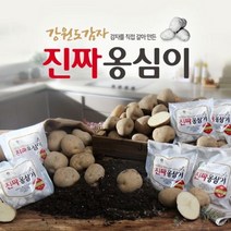 강원도 감자 옹심이 150gX8팩 옹심이 소스 20gX8팩, 단일옵션